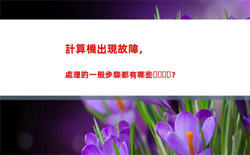 計算機出現故障，處理的一般步驟都有哪些？(必須填寫)